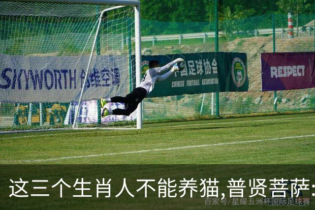 这三个生肖人不能养猫,普贤菩萨:不是养不起,是相生相克,因果相撞